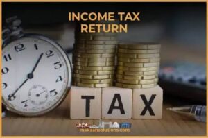 Professional Income Tax Return Filing Services In Rajanpur