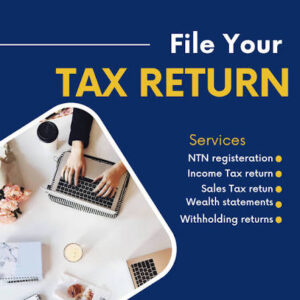 Professional Income Tax Return Filing Services in Rajanpur